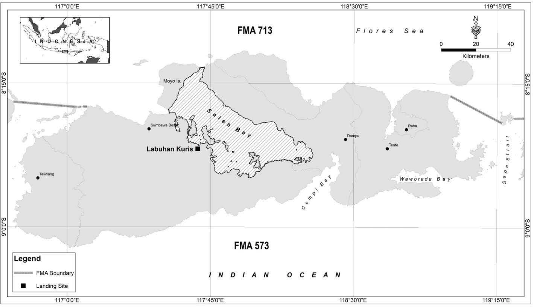 PDF) DIFFERENT BAIT AND HOOK SIZE EFFECT ON MACKEREL CATCHES WITH HANDLINE  IN CILACAP WATERS, CENTRAL JAVA PROVINCE, JAVA ISLAND