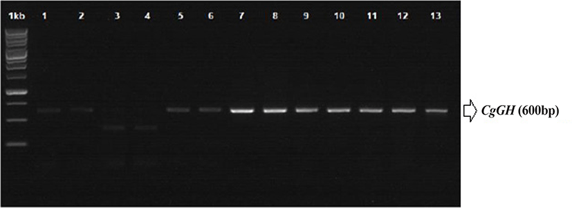 fas-25-1-1-g1