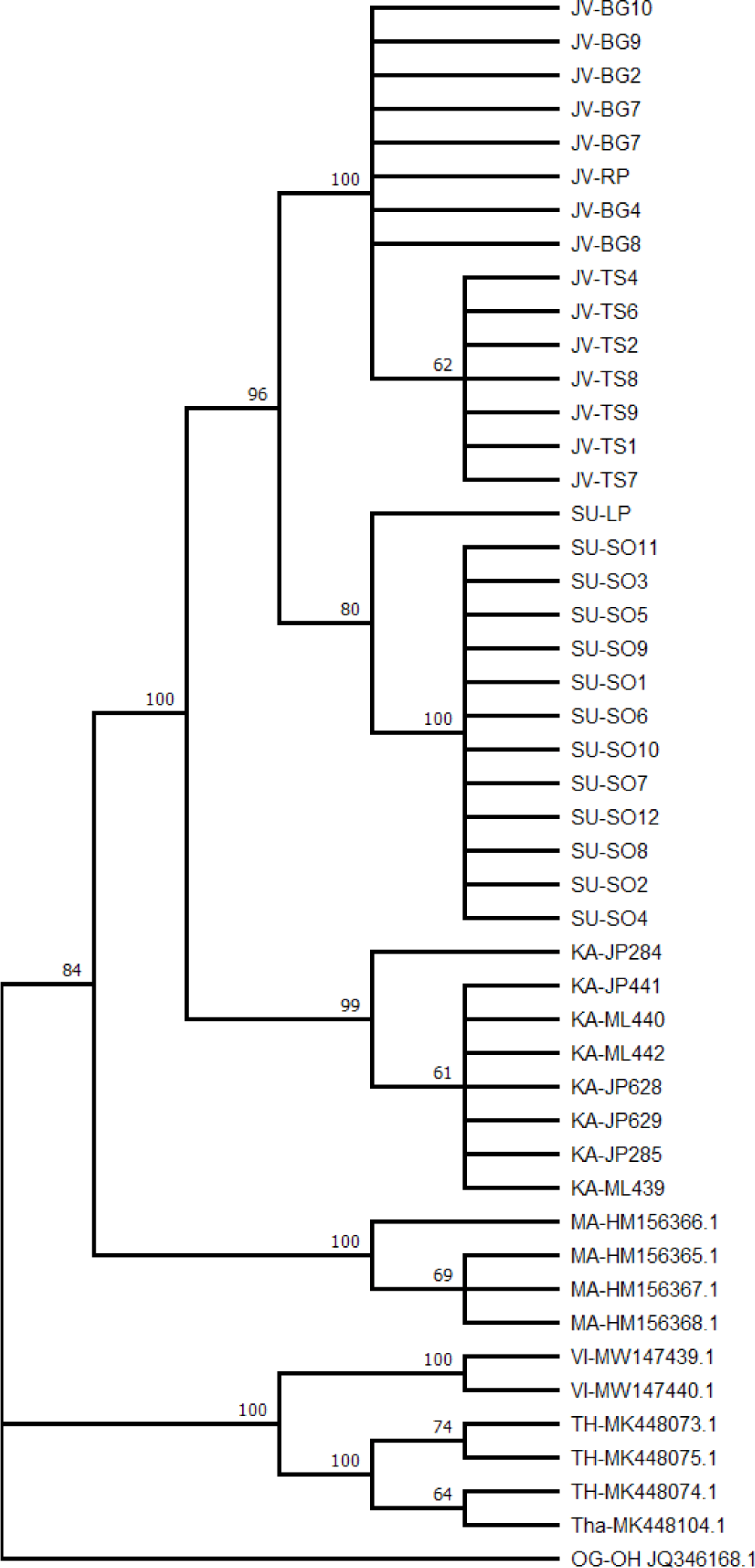 fas-27-3-145-g2