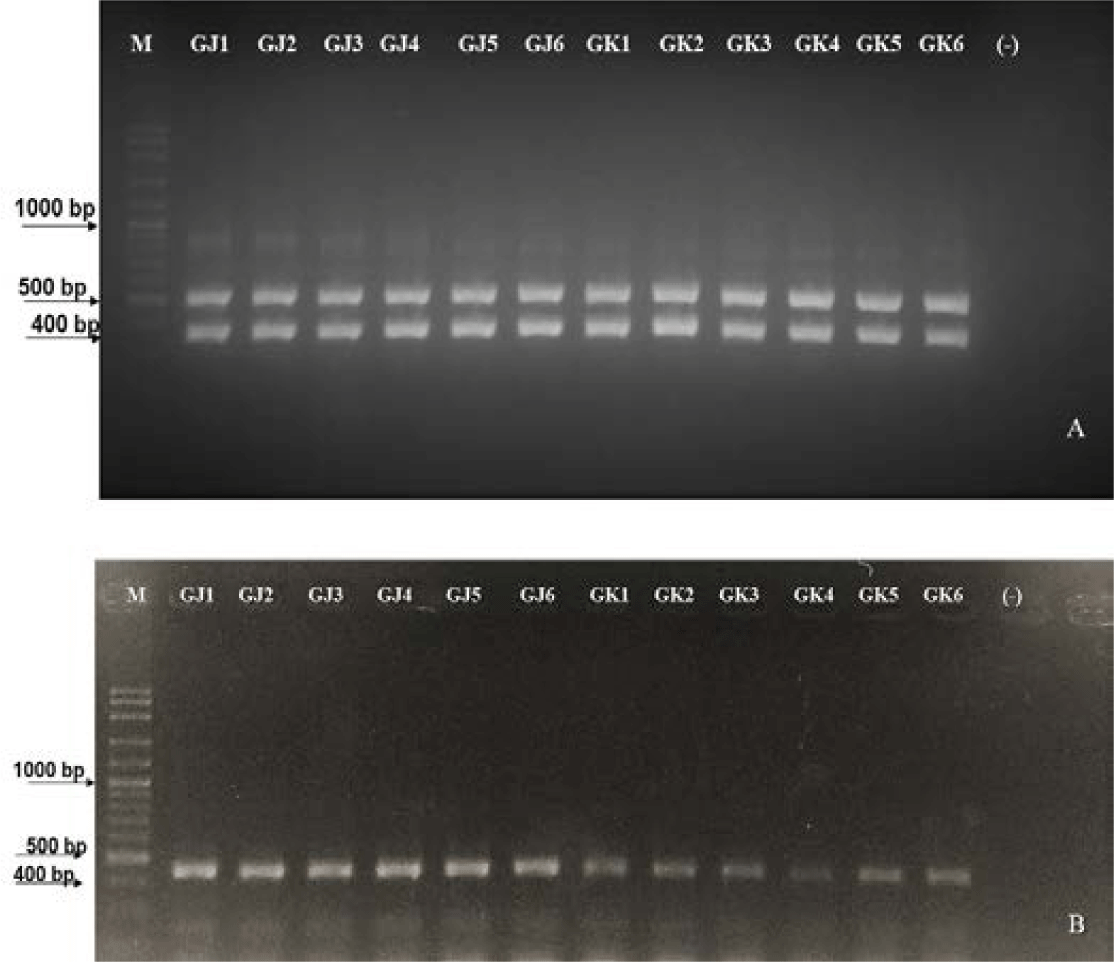 fas-27-3-159-g6