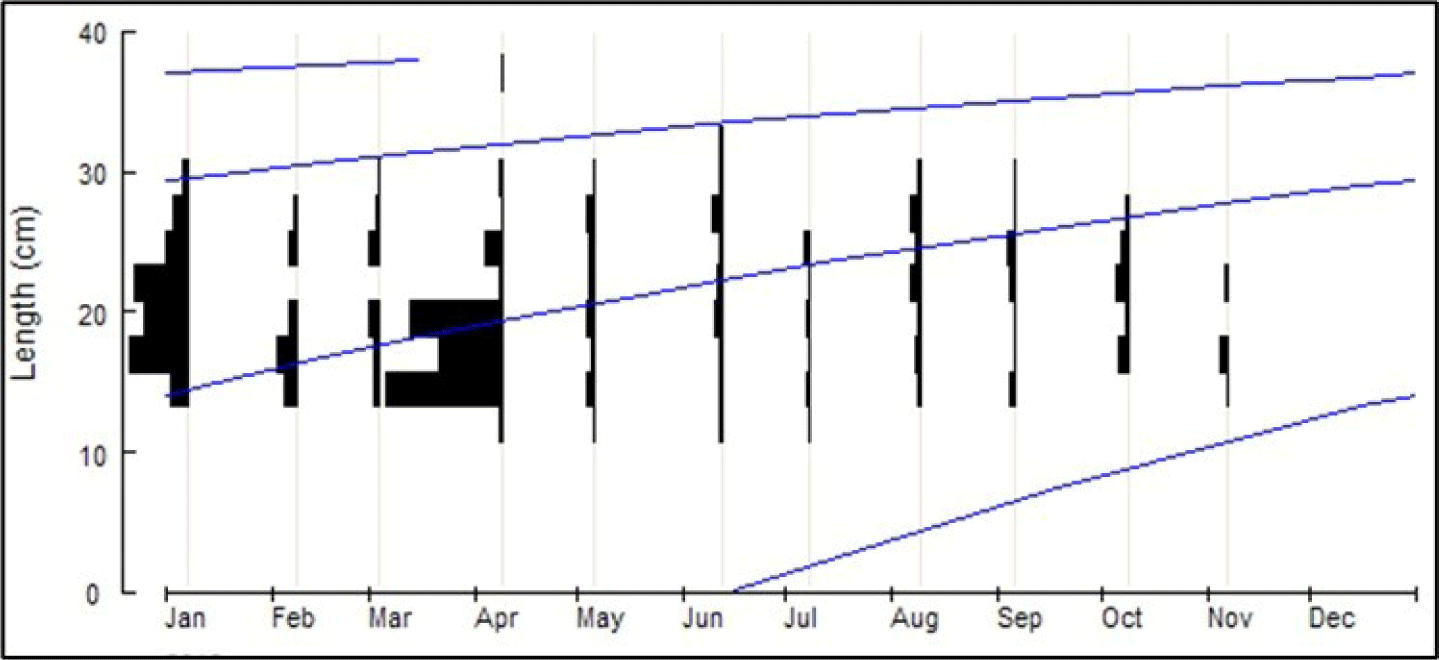 fas-27-4-240-g4