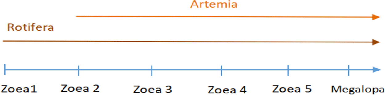 fas-27-7-456-g2